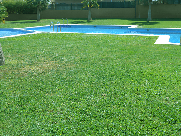 instalación de riego